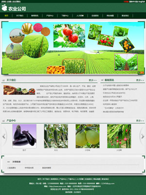天征网站建设