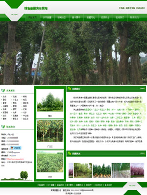 天征网站建设