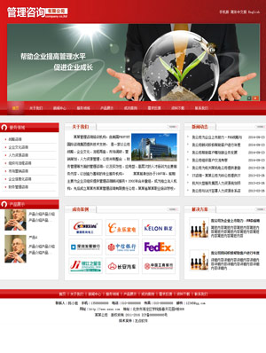 天征网站建设