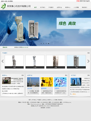 天征网站建设