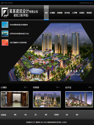 天征网站建设