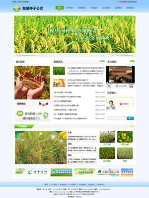 天征网站建设