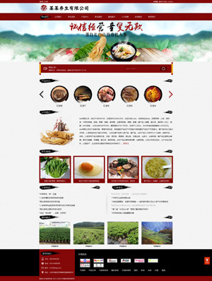 天征网站建设