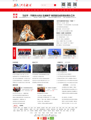 天征网站建设