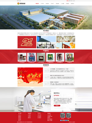 天征网站建设