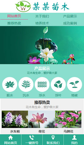 天征电脑网站模板